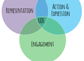 Universal Design for Learning Principles
